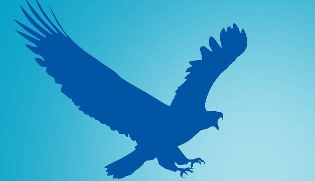 eagleget猎鹰下载器