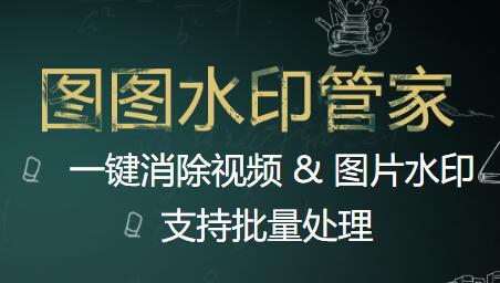 图图水印管家pc版