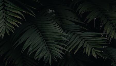 失易得图片修复软件