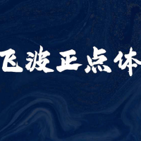 飞波正点体字体