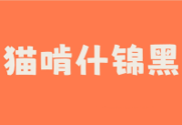 猫啃什锦黑字体