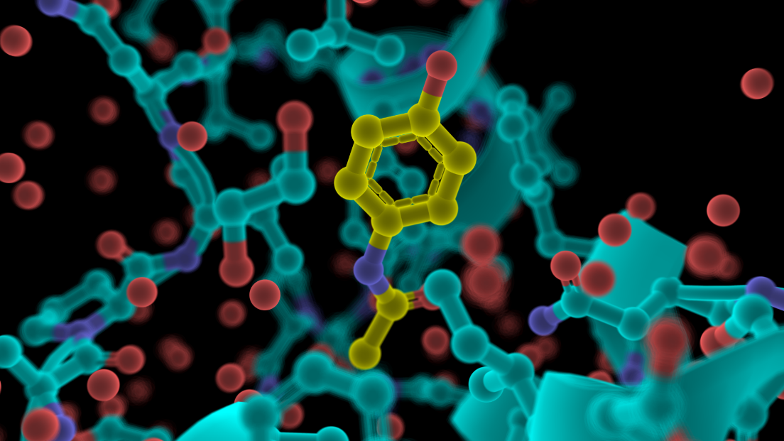 PyMOL