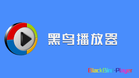 黑鸟播放器