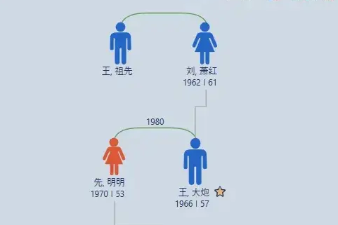 My Family Tree