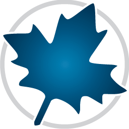 Maplesoft Maple