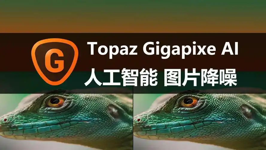Topaz Gigapixel ai中文版
