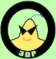 3DP Chip