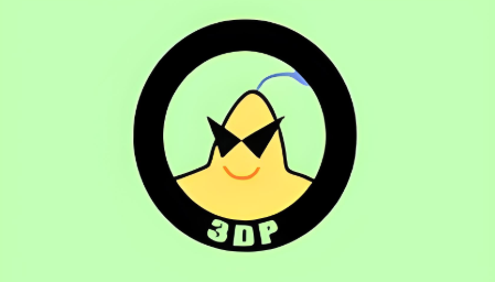3DP Chip