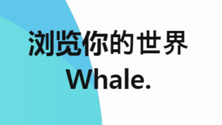 Whale浏览器