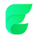 Elisi