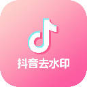 抖音去水印工具