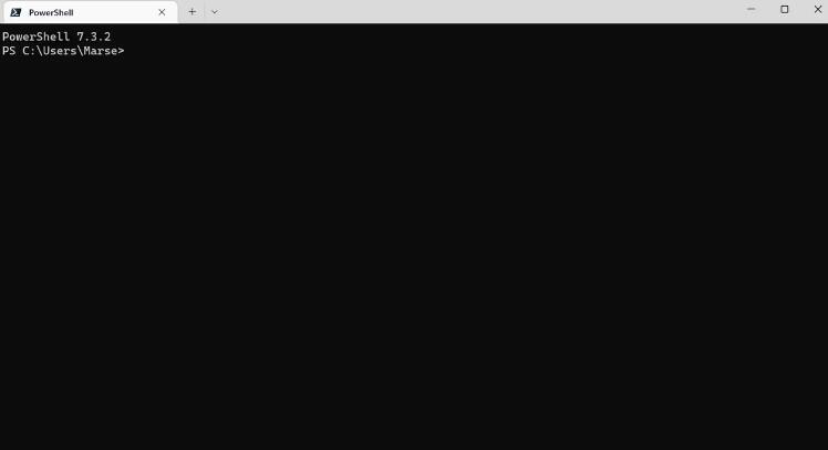 Windows PowerShell中文
