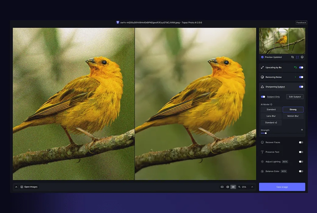 Topaz Photo AI