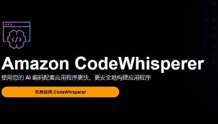 CodeWhisperer Pro