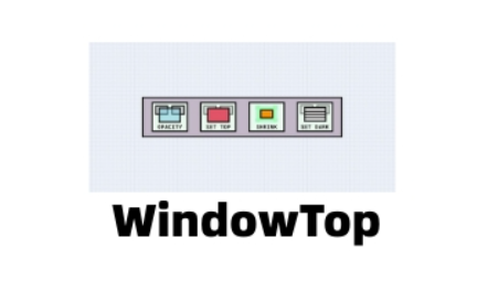 WindowTop中文版