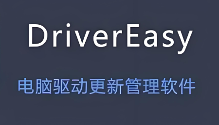 DriverEasy加速器