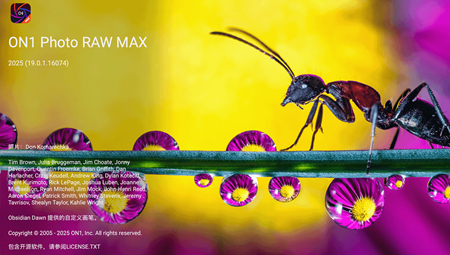 ON1 Photo RAW MAX2025紫枫