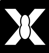 X Spider下载工具