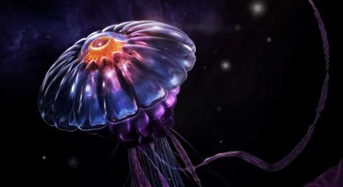 affinity photo中文版