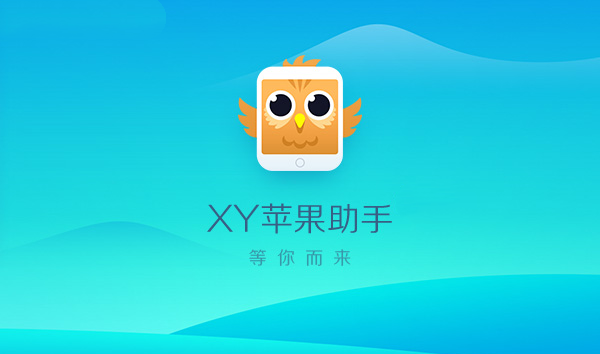 xy助手pc端