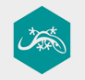 activeperl windows 11