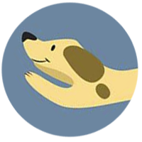 软件多开小工具