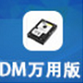 DM万用版