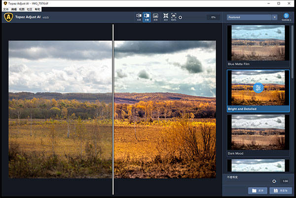 Topaz Adjust AI中文版截图
